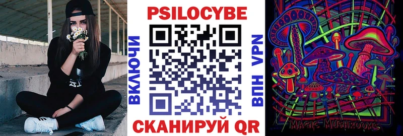 Псилоцибиновые грибы Psilocybe наркота Оса